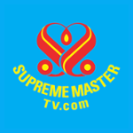 Supreme Master Television