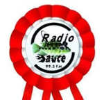 Radio Sauce 99.5 FM