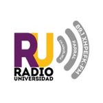 Radio Universidad 89.1 FM