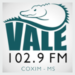 Vale 102 FM