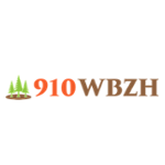 WBZH The Buzz 910 AM