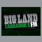 CFLN-FM Big Land - Labrador's FM