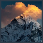 https://images.radiosonline.app/111813/radio-shkelzeni.png