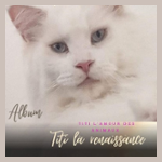 Radio titi l'amour des animaux