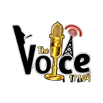 The Voice 17104