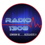Radio 1308