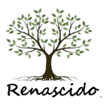 Web Rádio Renascido