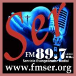 https://images.radiosonline.app/115072/fm-ser-897.png