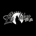 Radio Online Los Lobos Del Sur