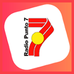 Punto 7 - Concepción