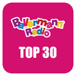 Ballermann Radio - Top 30