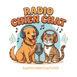 Radio Chien Chat