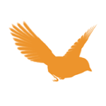 https://images.radiosonline.app/119290/blackbird-hd.png