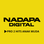 Nadapa Digital PRO2