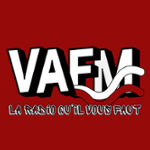 VAFM
