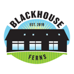 Blackhouse Radio