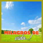 Milagros de Vida
