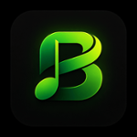 Bil Web Radio