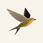 HiveWeaver FM