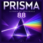 PRISMA88