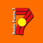 https://images.radiosonline.app/19433/radio-punto-7-concepcion.png