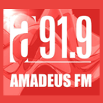 FM Amadeus 91.9