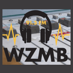 WZMB East Carolinas Alternative 91.3 FM