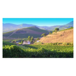 Wine Farm And Tourist radio