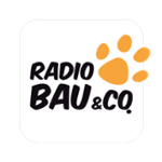 Radio Bau & Co