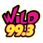 KWLZ Wild 99.3 FM