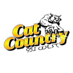 WLST Cat Country 95.1 FM