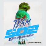 TEAM502