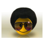 MEGA FLASH WEB RADIO