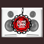 ONE LINK RADIO