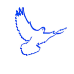 https://images.radiosonline.app/54111/strongtower-broadcast.png