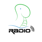 Ogologo Radio