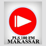 Radio PLS 100 FM