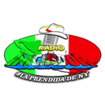 Radio Iniciador