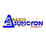 https://images.radiosonline.app/69754/radio-asuncion.png