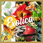 Exotica Radio