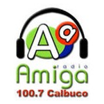 Radio Amiga 100.7 FM