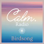 Calm Birdsong
