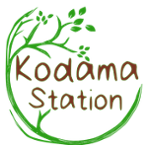 Kodama Station