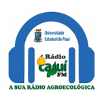 Rádio Web Cajuí