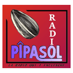 Radio Pipasol