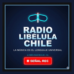 LibelulaChile.cl Señal 2