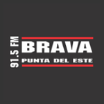 BRAVA FM 91.5