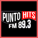 Punto Hits FM