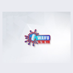 WAVU 55 The Vibe